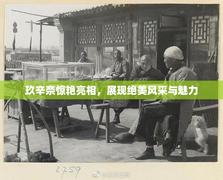玖辛奈惊艳亮相，展现绝美风采与魅力