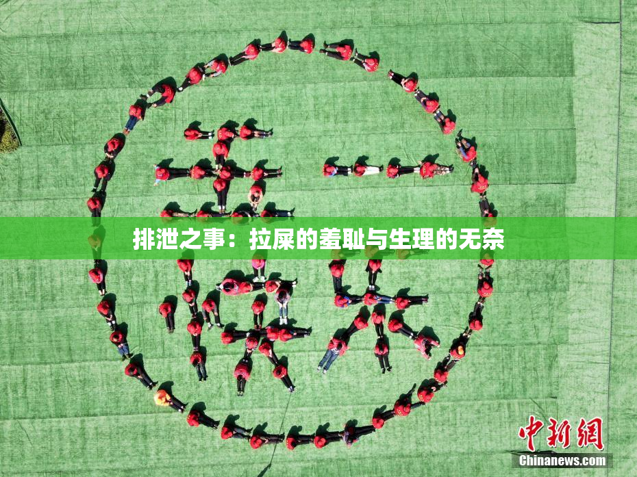 排泄之事：拉屎的羞耻与生理的无奈