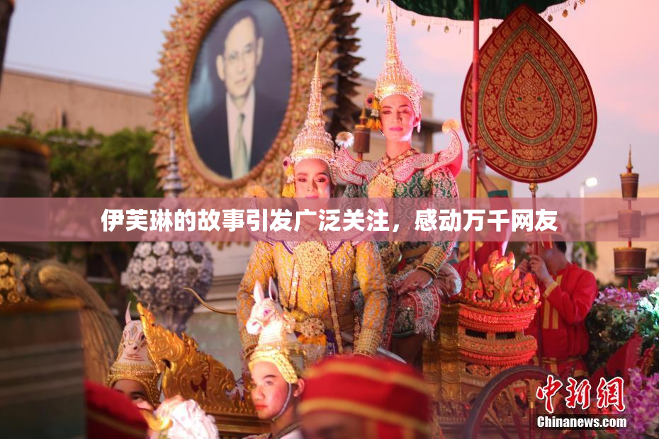 伊芙琳的故事引发广泛关注，感动万千网友