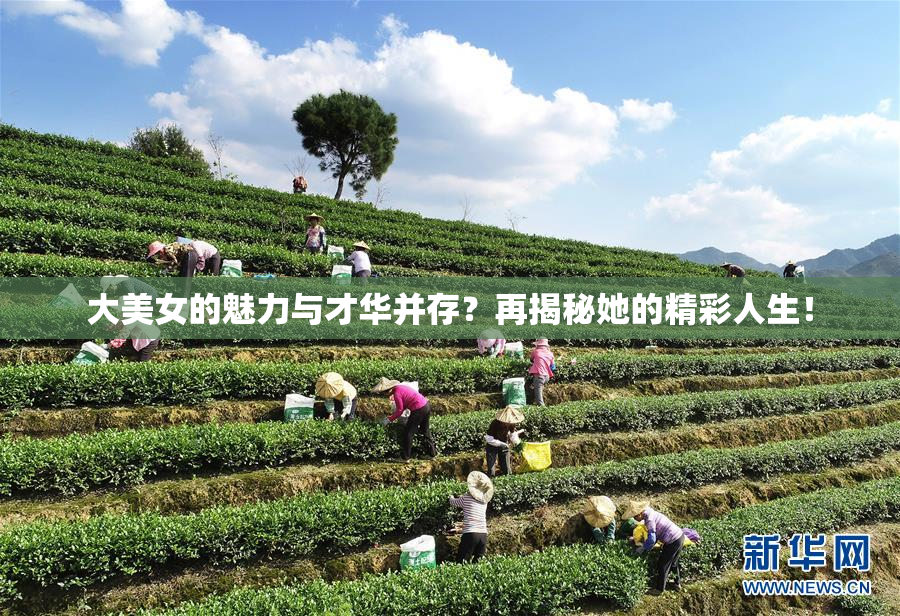 大美女的魅力与才华并存？再揭秘她的精彩人生！