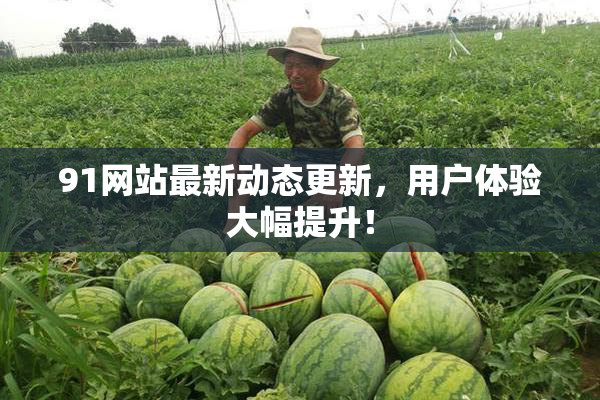 91网站最新动态更新，用户体验大幅提升！