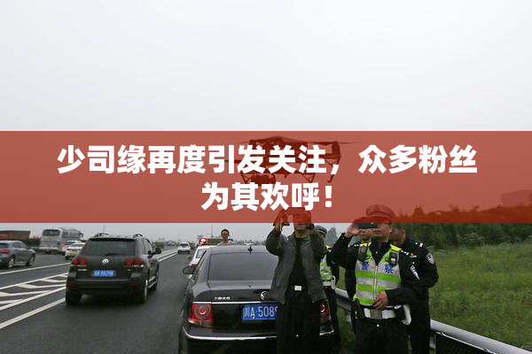 少司缘再度引发关注，众多粉丝为其欢呼！