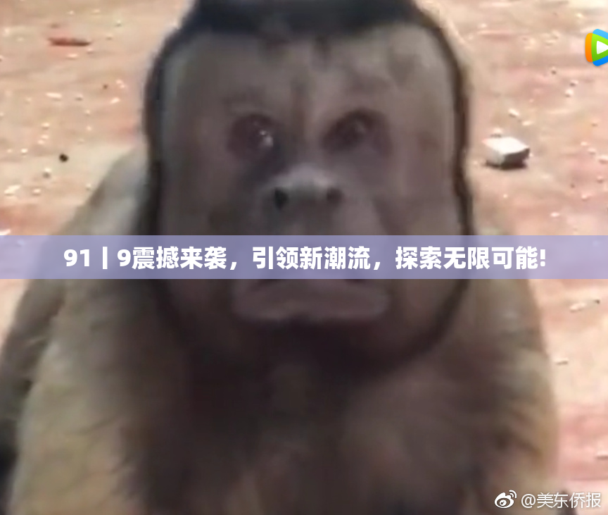 91丨9震撼来袭，引领新潮流，探索无限可能!