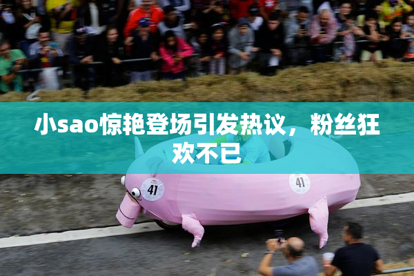 小sao惊艳登场引发热议，粉丝狂欢不已