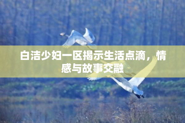 白洁少妇一区揭示生活点滴，情感与故事交融