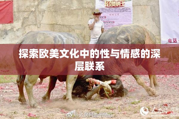探索欧美文化中的性与情感的深层联系