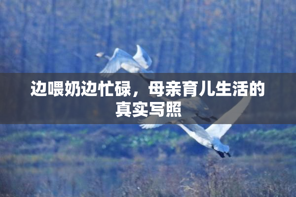 边喂奶边忙碌，母亲育儿生活的真实写照