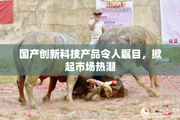 国产创新科技产品令人瞩目，掀起市场热潮