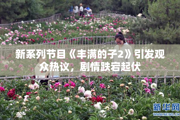 新系列节目《丰满的子2》引发观众热议，剧情跌宕起伏