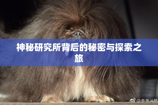 神秘研究所背后的秘密与探索之旅