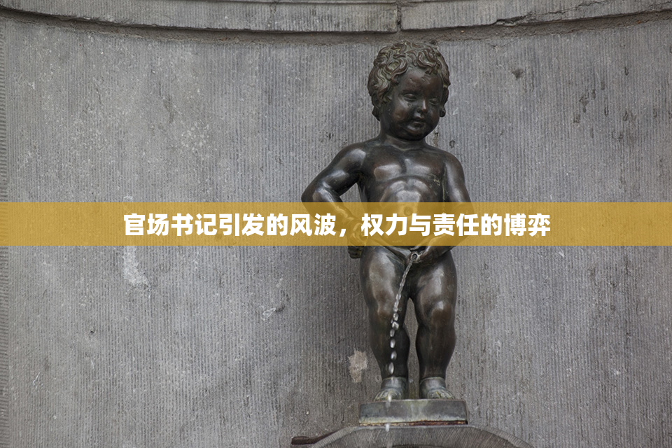 官场书记引发的风波，权力与责任的博弈