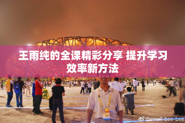 王雨纯的全课精彩分享 提升学习效率新方法