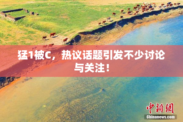 猛1被C，热议话题引发不少讨论与关注！