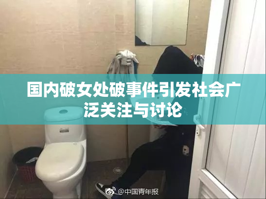 国内破女处破事件引发社会广泛关注与讨论