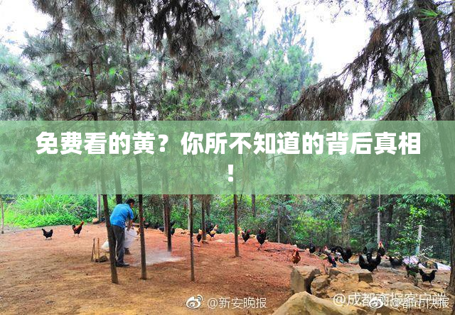 免费看的黄？你所不知道的背后真相！