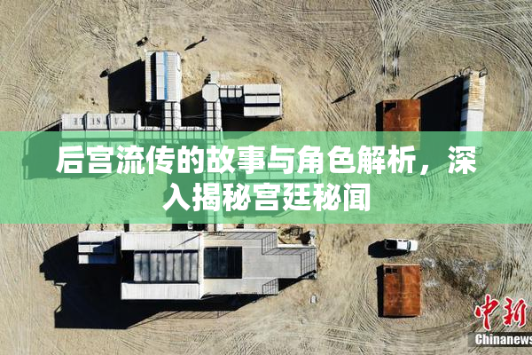 后宫流传的故事与角色解析，深入揭秘宫廷秘闻
