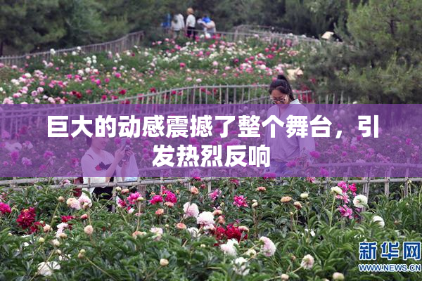 巨大的动感震撼了整个舞台，引发热烈反响