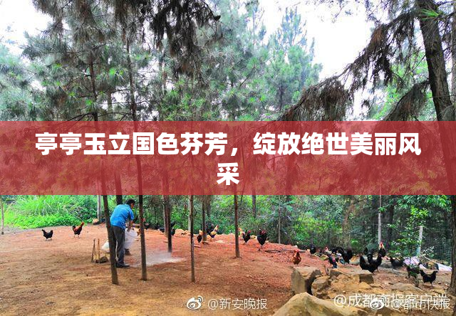 亭亭玉立国色芬芳，绽放绝世美丽风采