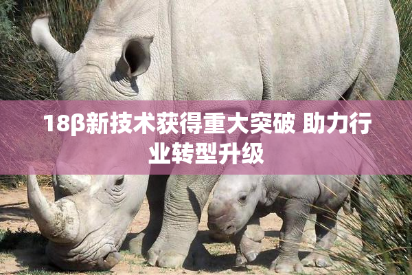 18β新技术获得重大突破 助力行业转型升级