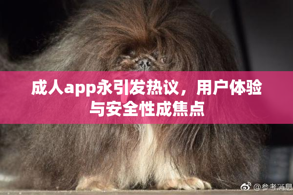成人app永引发热议，用户体验与安全性成焦点