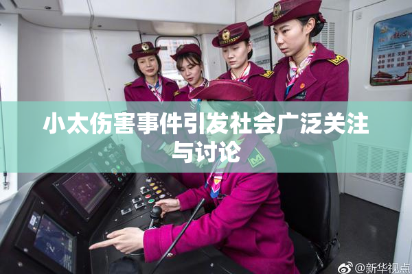 小太伤害事件引发社会广泛关注与讨论