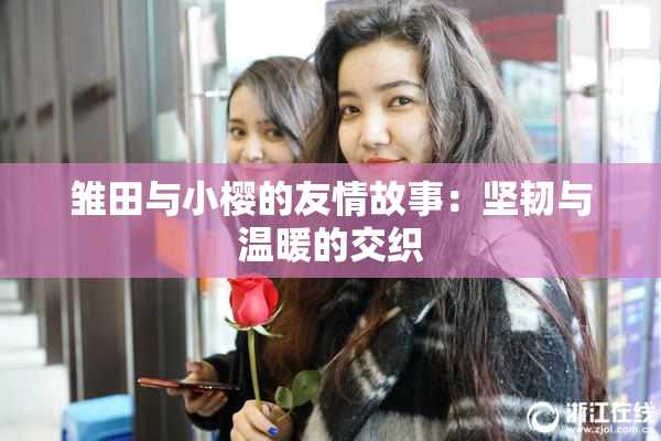 雏田与小樱的友情故事：坚韧与温暖的交织