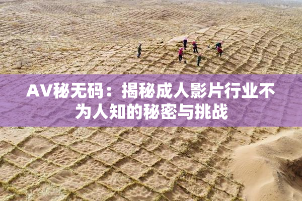 AV秘无码：揭秘成人影片行业不为人知的秘密与挑战