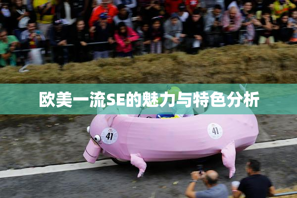 欧美一流SE的魅力与特色分析