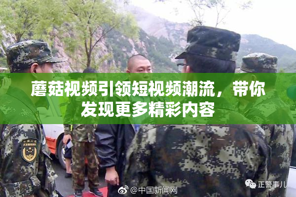 蘑菇视频引领短视频潮流，带你发现更多精彩内容