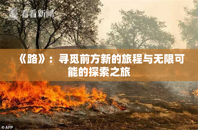 《路》：寻觅前方新的旅程与无限可能的探索之旅