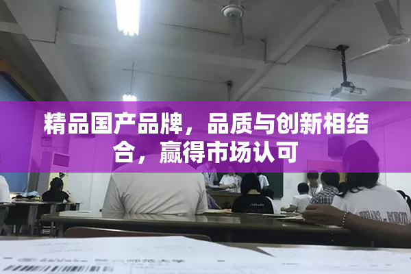 精品国产品牌，品质与创新相结合，赢得市场认可