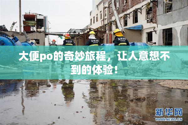 大便po的奇妙旅程，让人意想不到的体验！