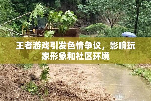 王者游戏引发色情争议，影响玩家形象和社区环境