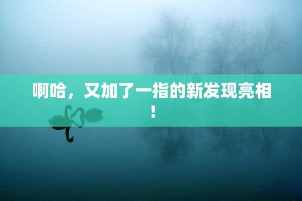 啊哈，又加了一指的新发现亮相！