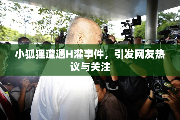 小狐狸遭遇H灌事件，引发网友热议与关注
