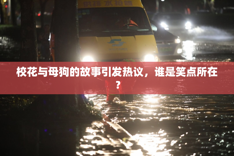 校花与母狗的故事引发热议，谁是笑点所在？
