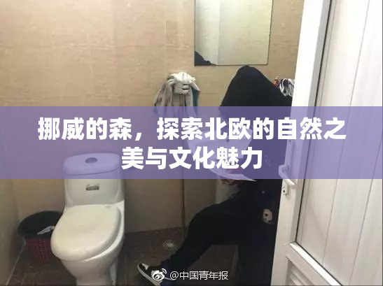 挪威的森，探索北欧的自然之美与文化魅力