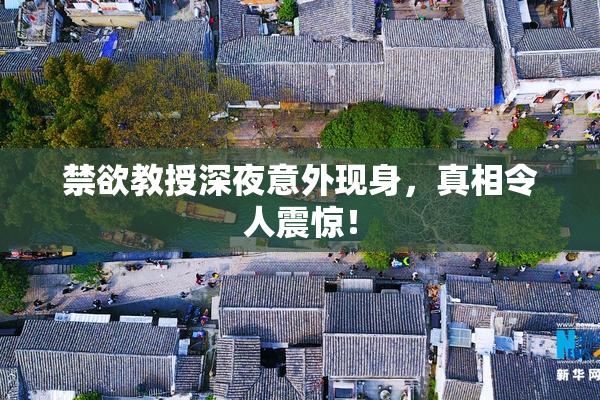禁欲教授深夜意外现身，真相令人震惊！