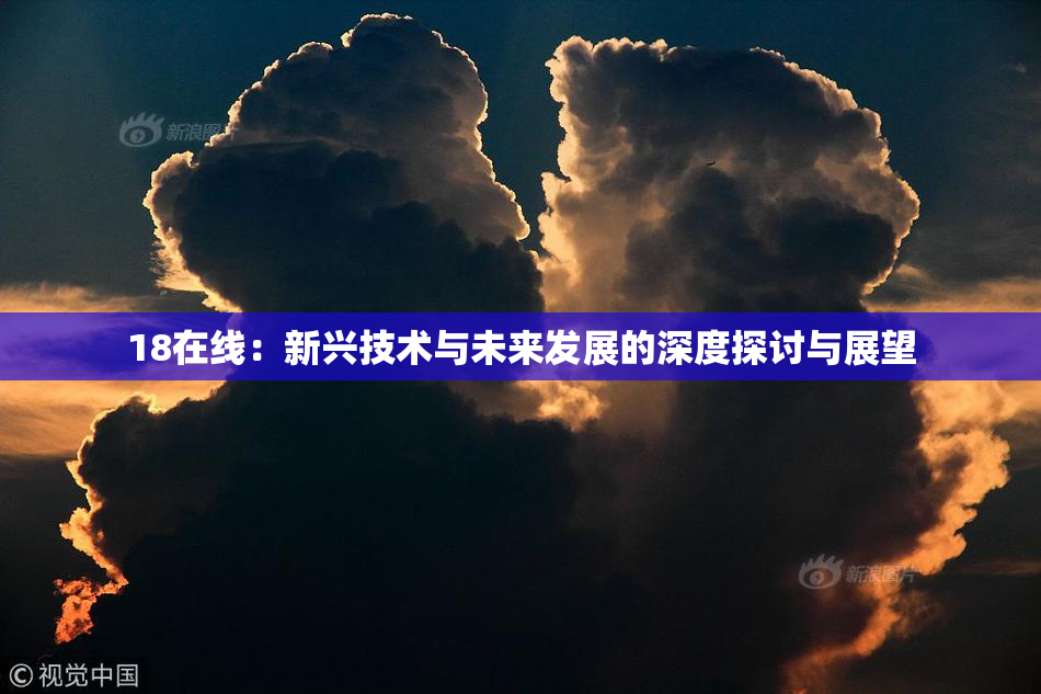 18在线：新兴技术与未来发展的深度探讨与展望