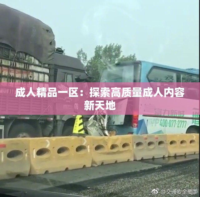 成人精品一区：探索高质量成人内容新天地