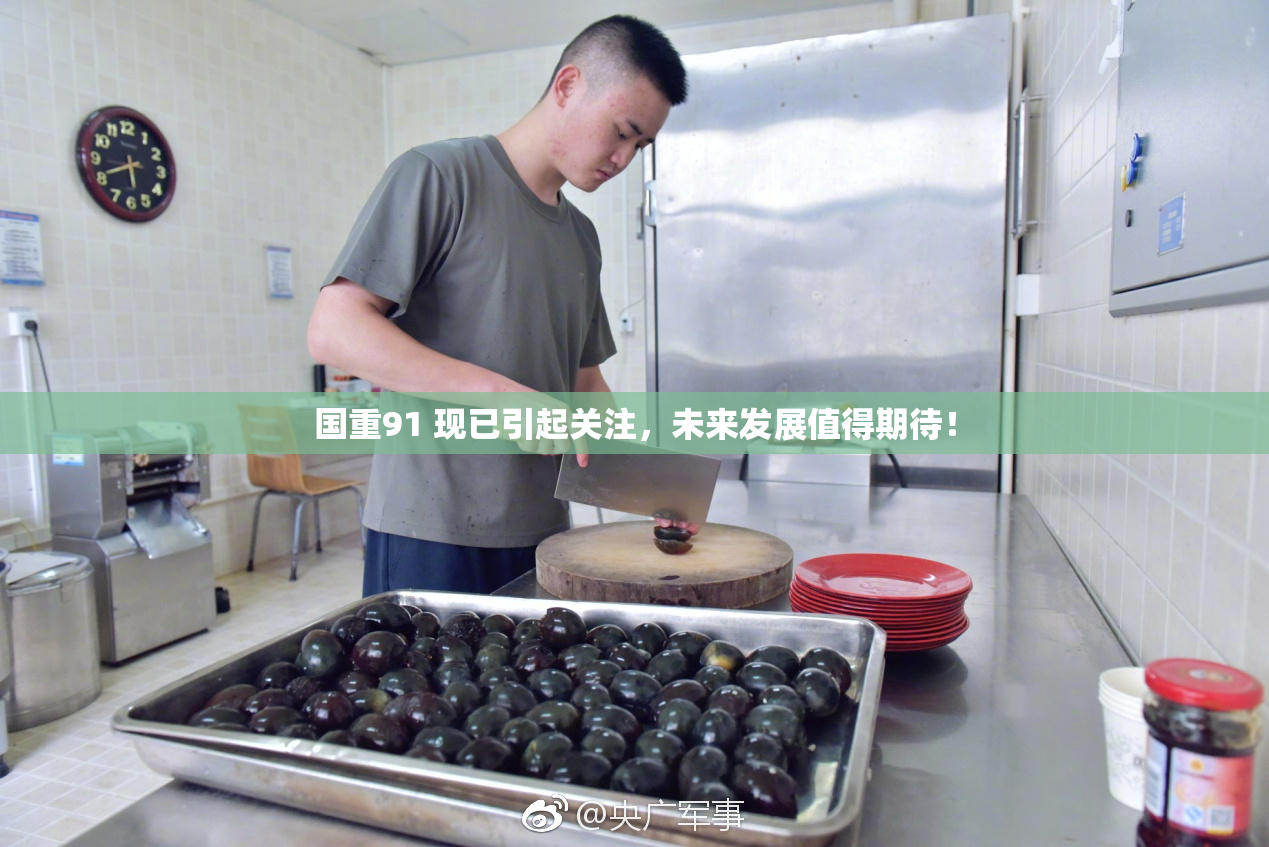国重91 现已引起关注，未来发展值得期待！