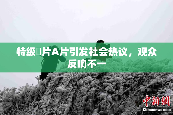 特级婬片A片引发社会热议，观众反响不一