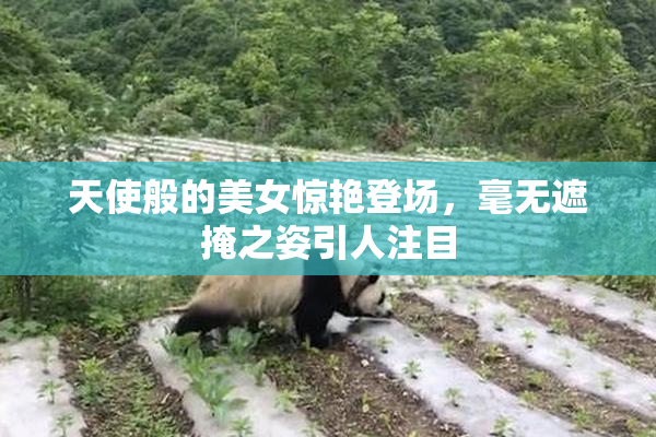 天使般的美女惊艳登场，毫无遮掩之姿引人注目