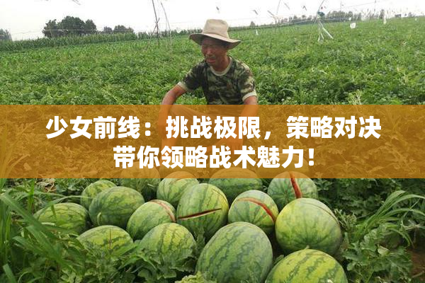 少女前线：挑战极限，策略对决带你领略战术魅力！