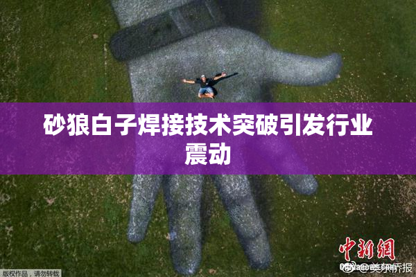 砂狼白子焊接技术突破引发行业震动