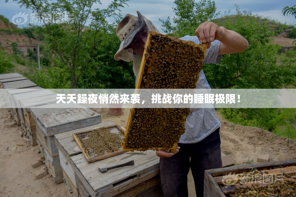 天天躁夜悄然来袭，挑战你的睡眠极限！