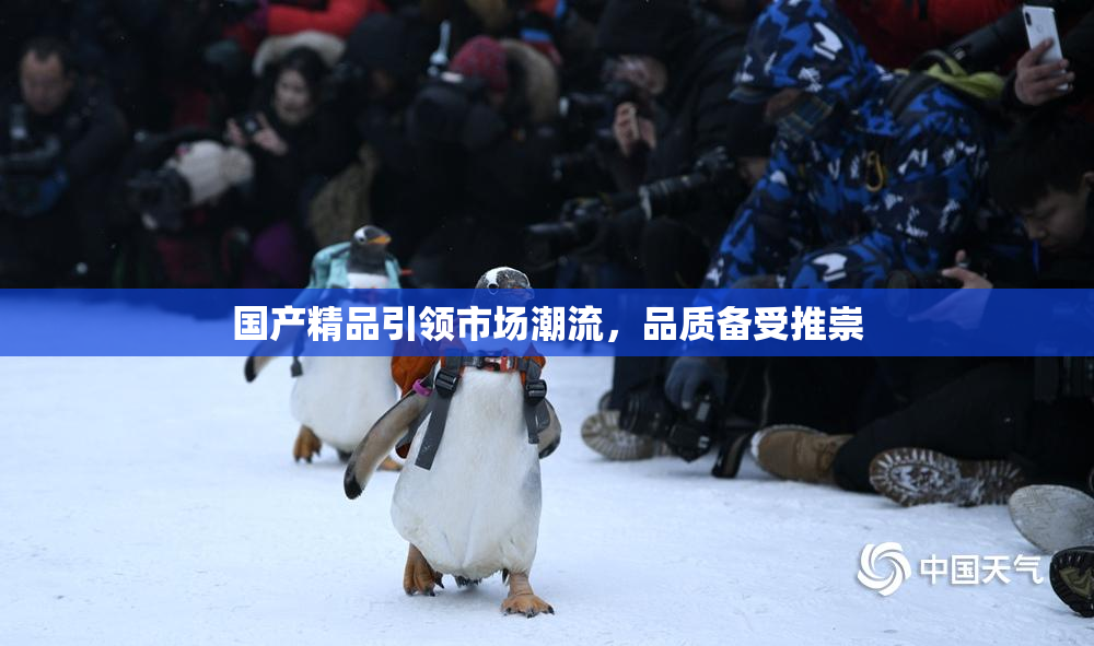 国产精品引领市场潮流，品质备受推崇