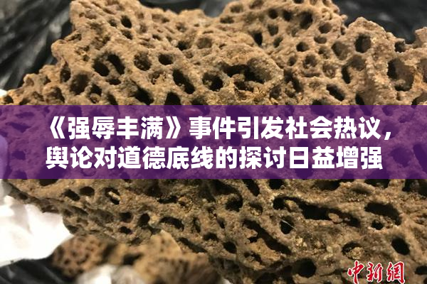 《强辱丰满》事件引发社会热议，舆论对道德底线的探讨日益增强