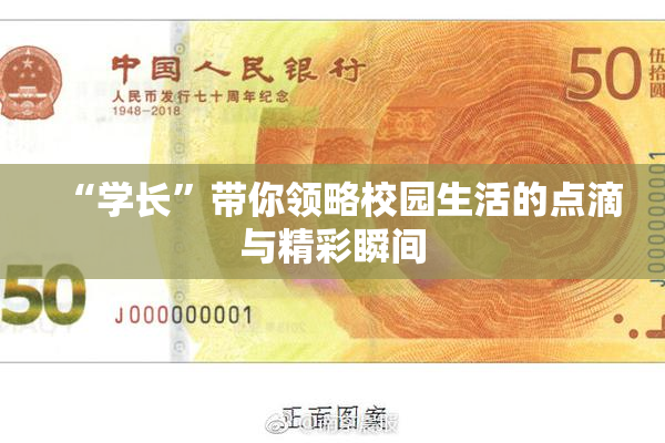 “学长”带你领略校园生活的点滴与精彩瞬间
