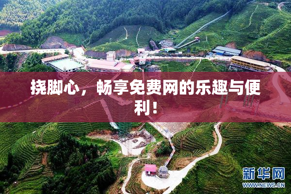 挠脚心，畅享免费网的乐趣与便利！